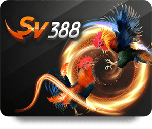 Join the Excitement of FUN88 Live Dealer Hot Casino Action